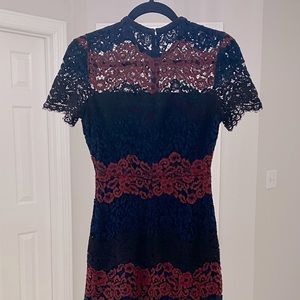 Express fitted lace dress